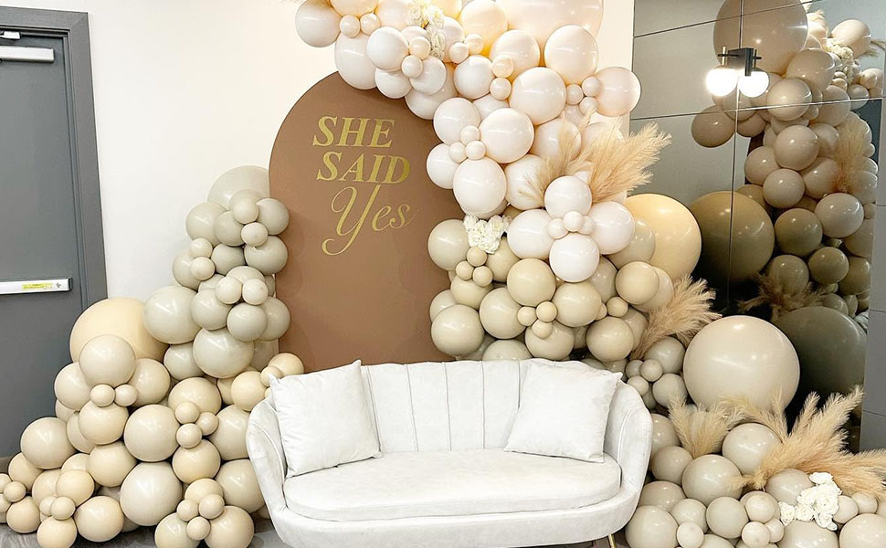 8d47aa09-3c5c-4448-a136-6032cf1315f6.__CR0,0,970,600_PT0_SX970_V1___ (1)